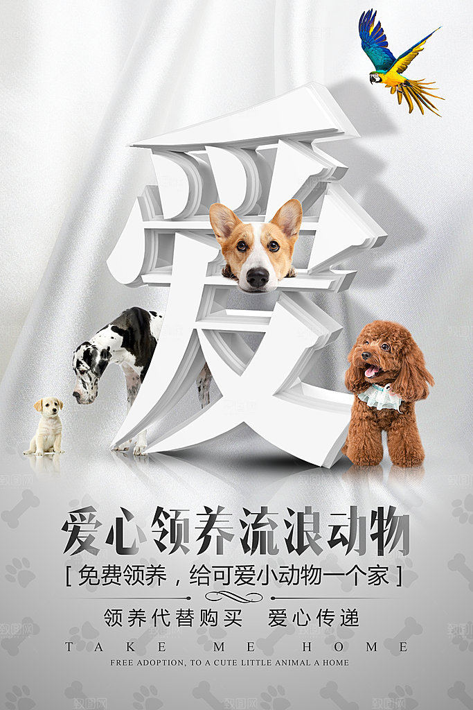宠物领养宣传海报设计素材