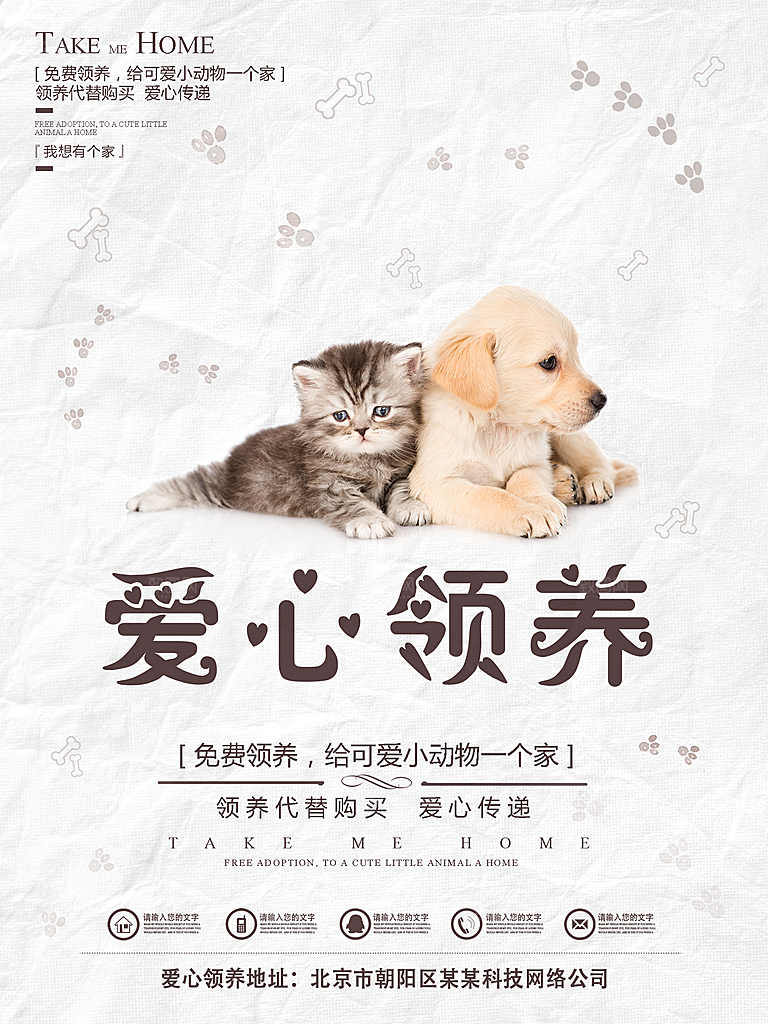宠物领养宣传海报设计素材