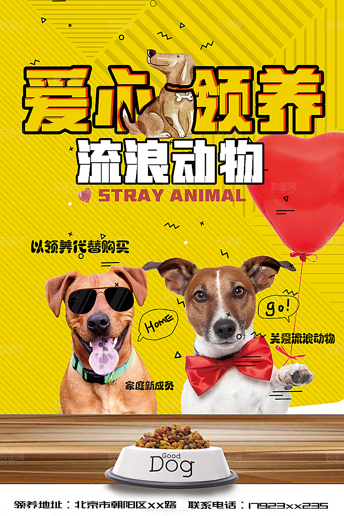 宠物领养宣传海报设计素材