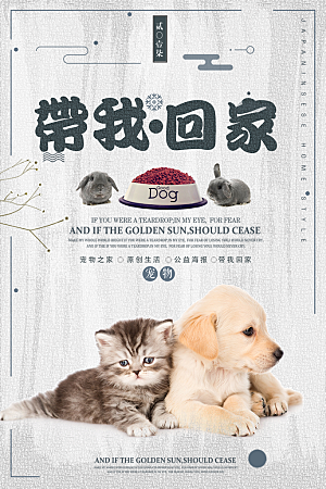 宠物领养宣传海报设计素材