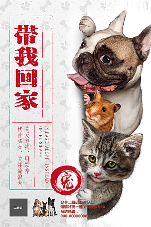 宠物领养宣传海报设计素材