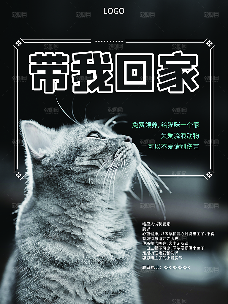 宠物动物口粮商店美容海报