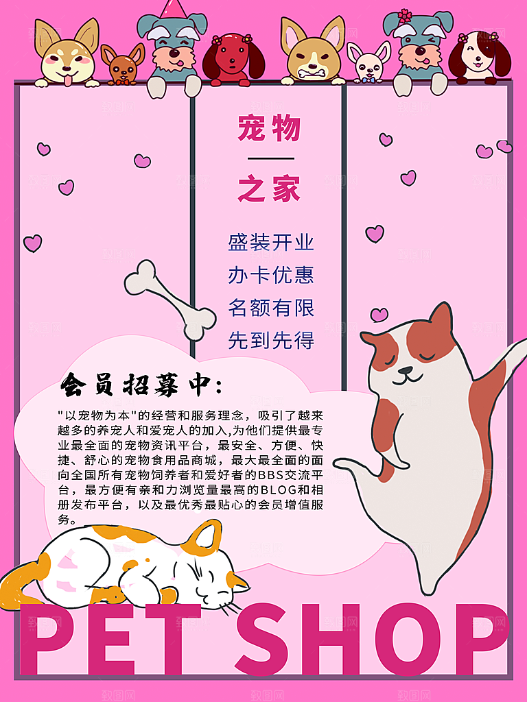 宠物动物口粮商店美容海报