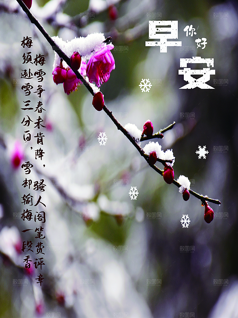 你好早安每日一签