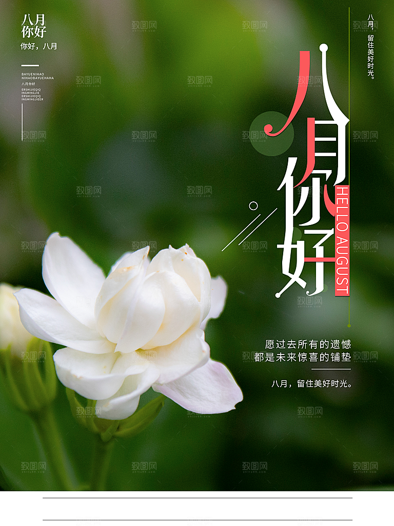 八月你好宣传海报