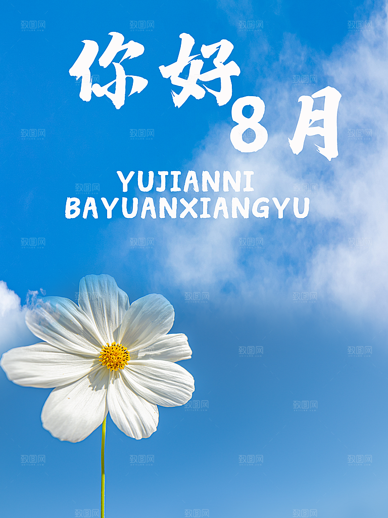 你好8月宣传海报