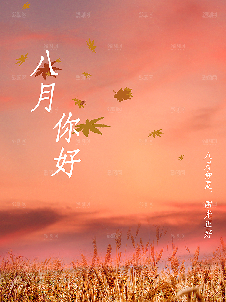 八月你好宣传海报