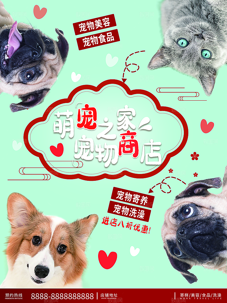 宠物动物口粮商店美容海报