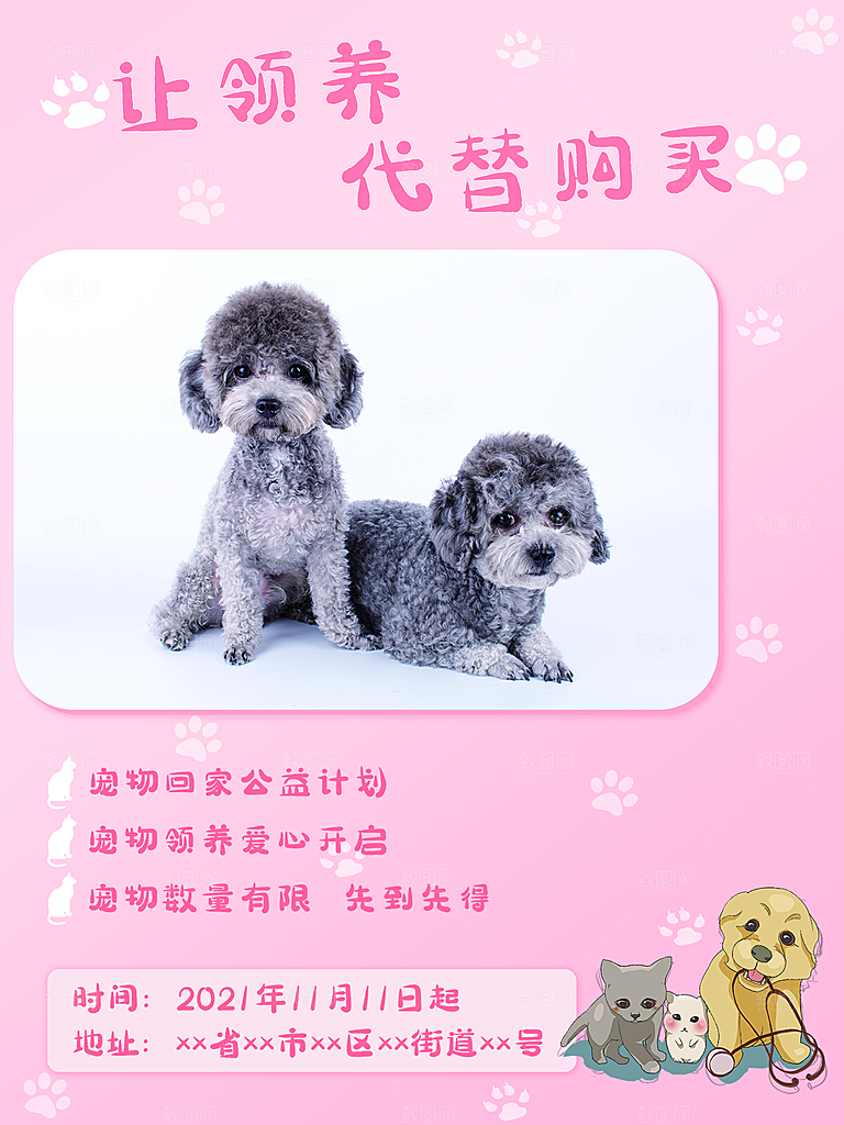宠物动物口粮商店美容海报