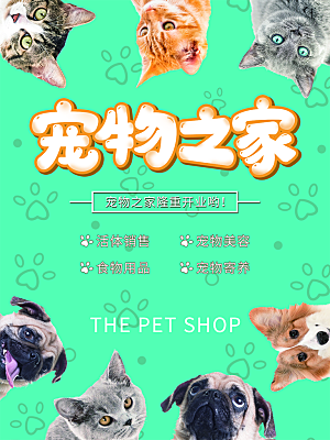 宠物动物口粮商店美容海报