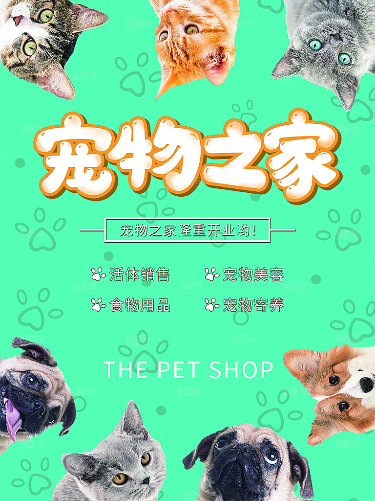 宠物动物口粮商店美容海报