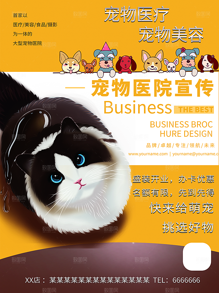 宠物动物口粮商店美容海报
