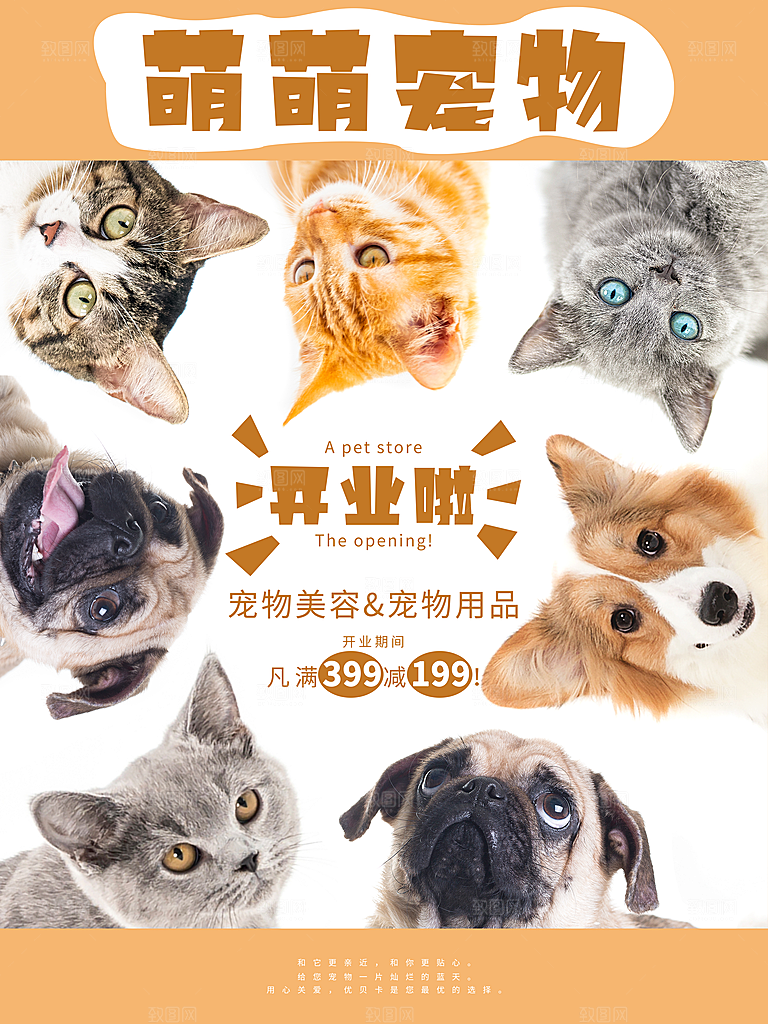 宠物动物口粮商店美容海报
