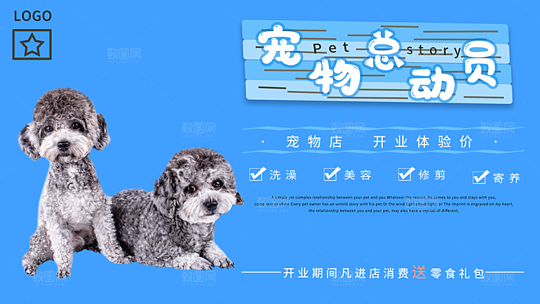 宠物动物口粮商店美容海报
