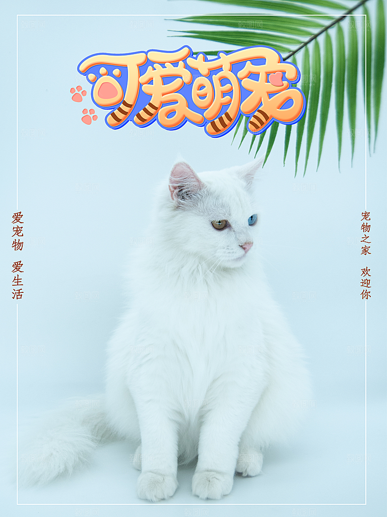 宠物动物口粮商店美容海报