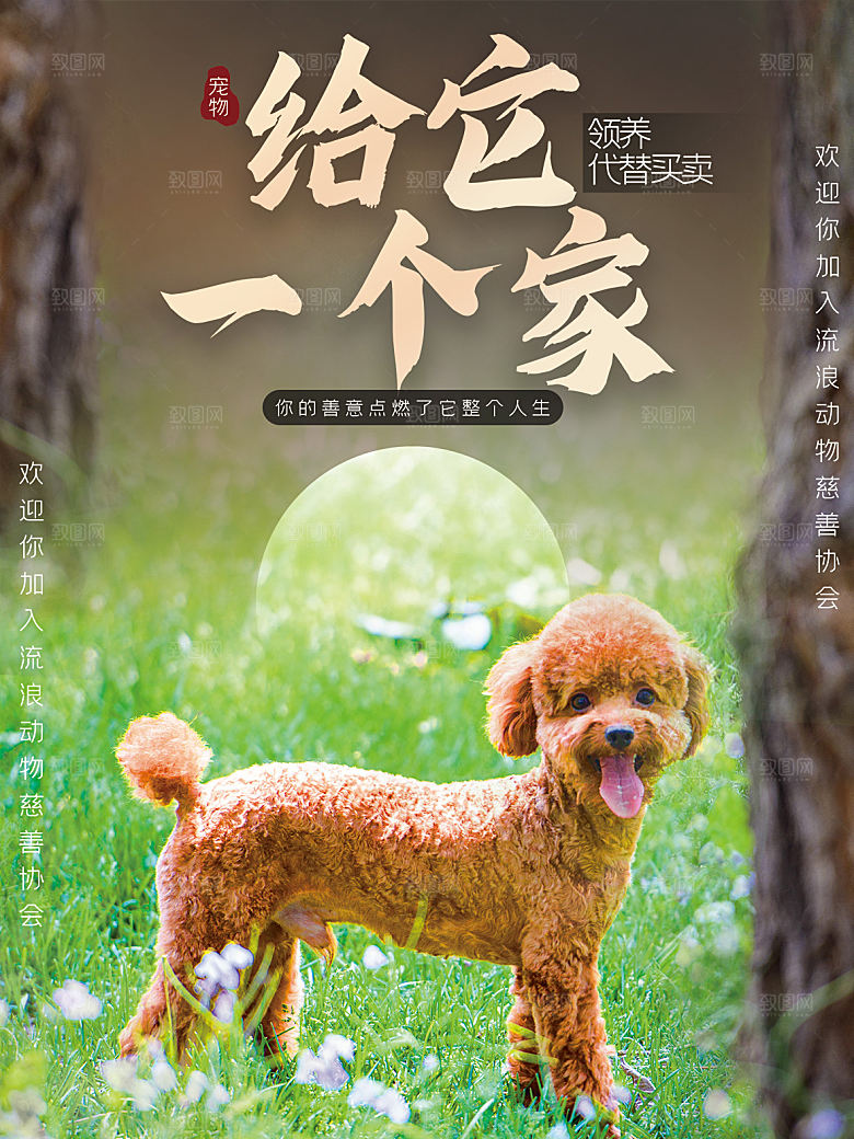 宠物动物口粮商店美容海报