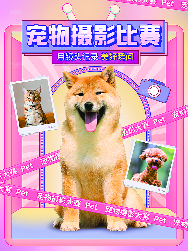 宠物动物口粮商店美容海报