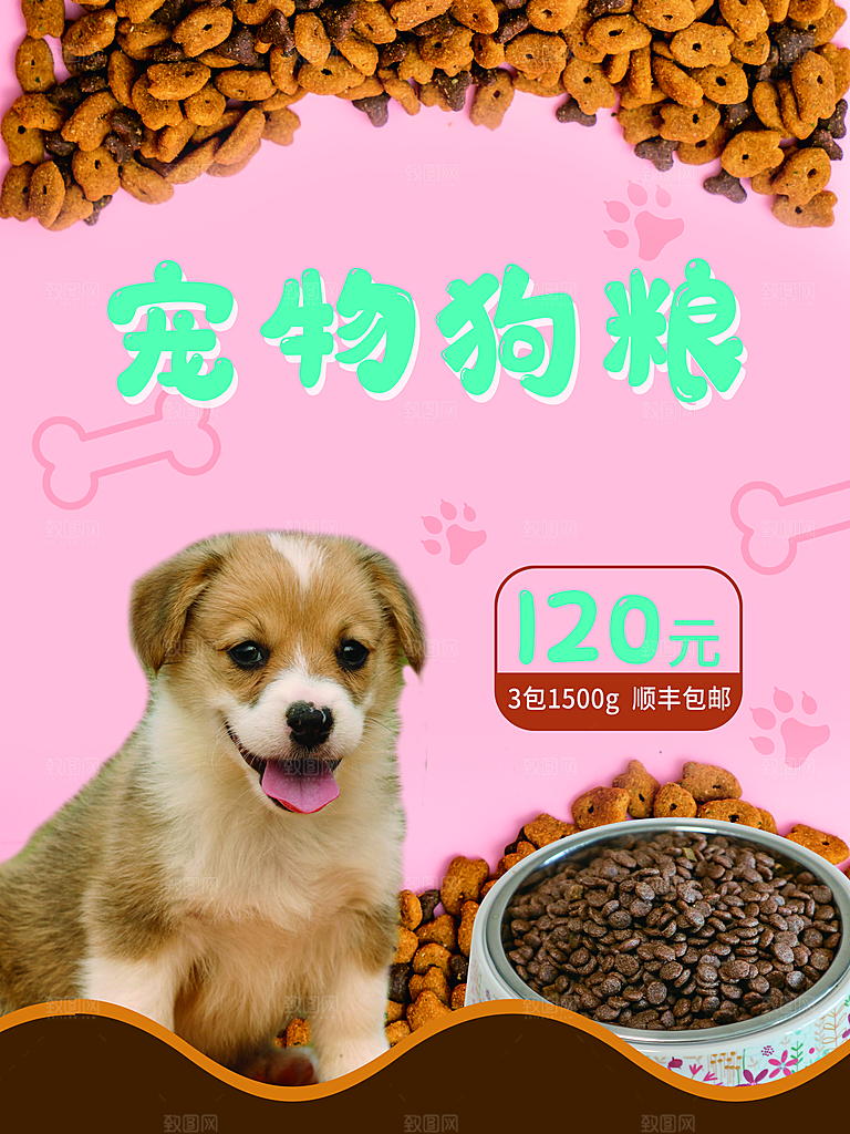 宠物动物口粮商店美容海报