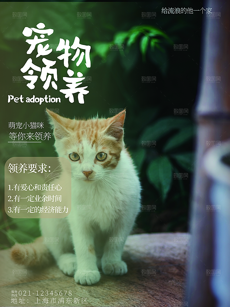 宠物动物口粮商店美容海报