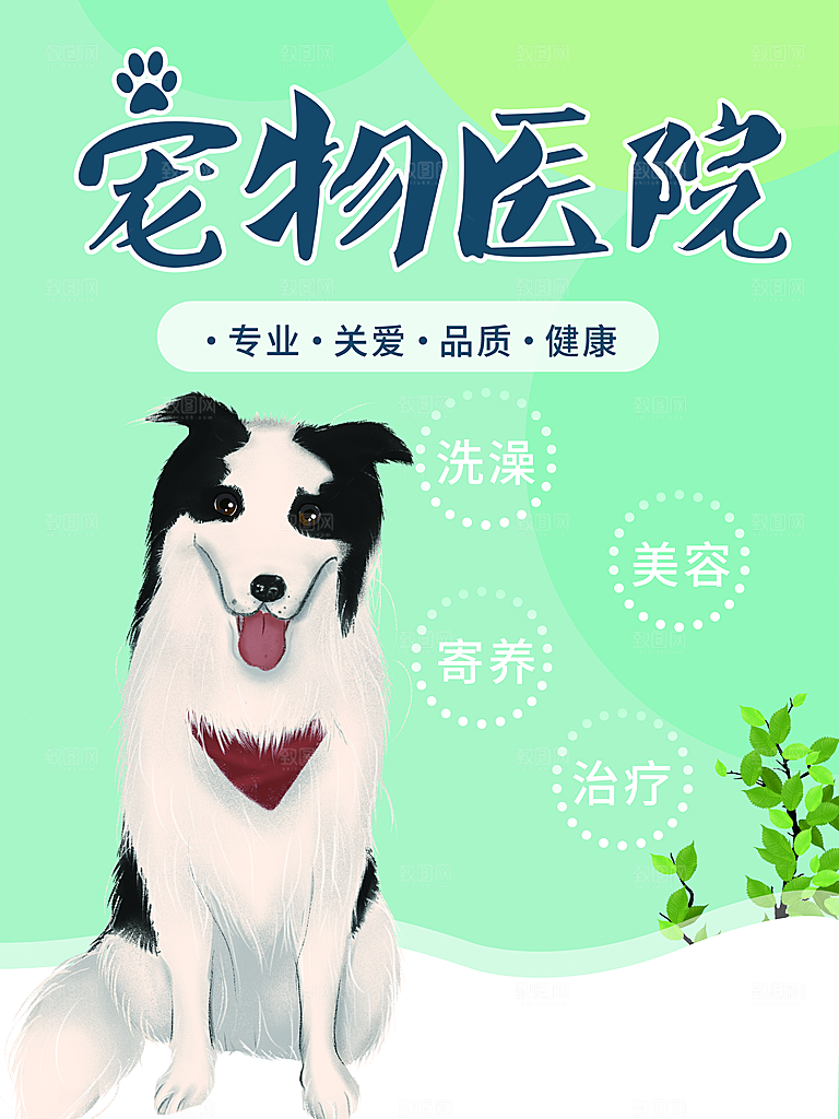 宠物动物口粮商店美容海报