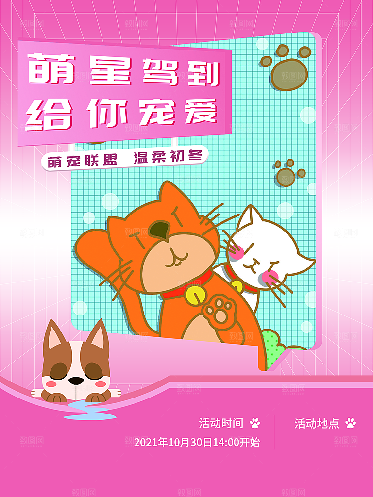 宠物动物口粮商店美容海报