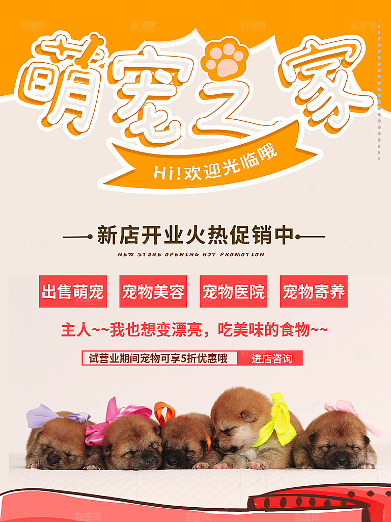 宠物动物口粮商店美容海报
