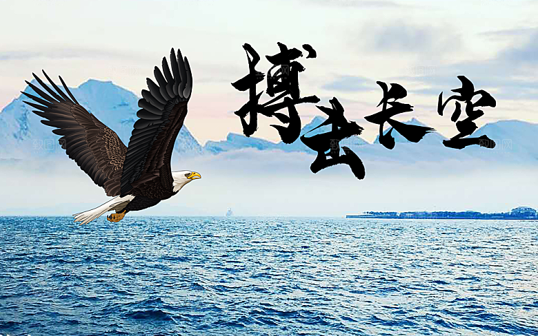 企业文化搏击长空