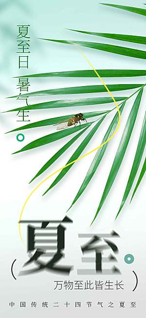 夏至节气传统活动海报