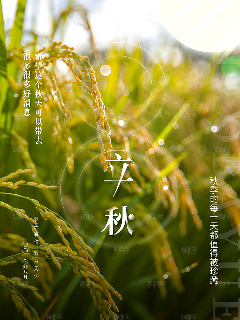 传统二十四节气立秋