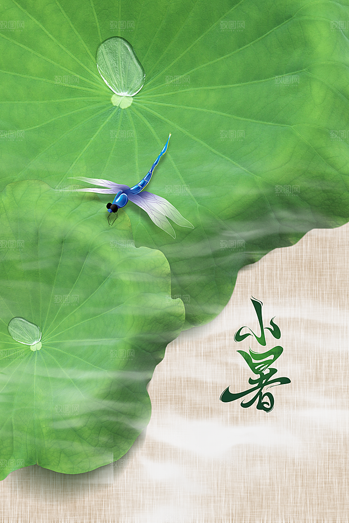小暑节气传统海报