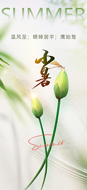 小暑节气传统海报