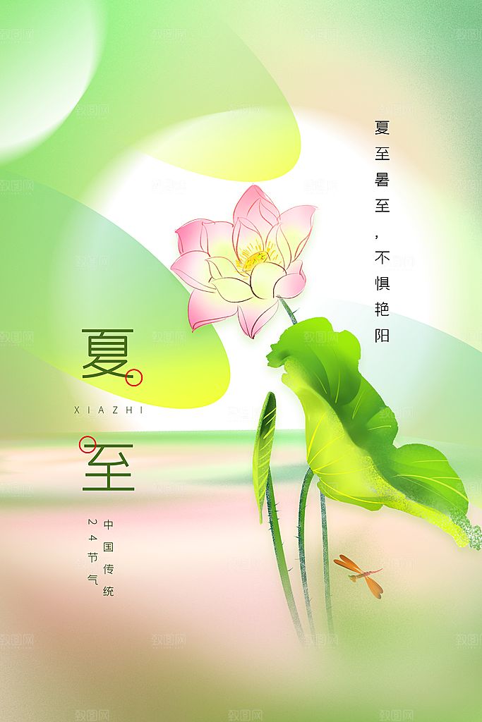 夏至节气传统海报