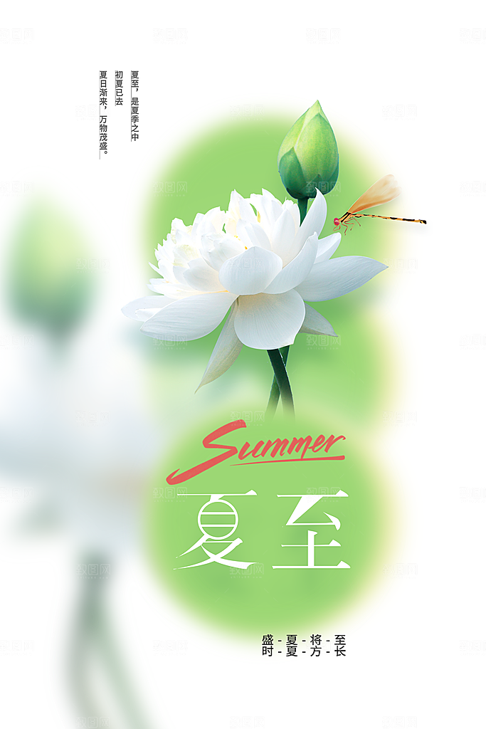 夏至节气传统海报
