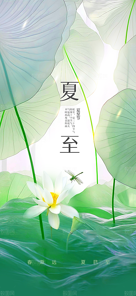 夏至节气传统海报