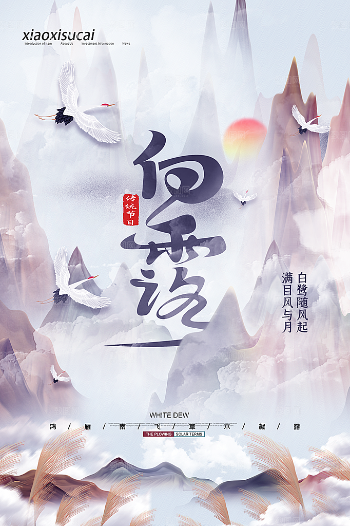 白露节气简约大气海报
