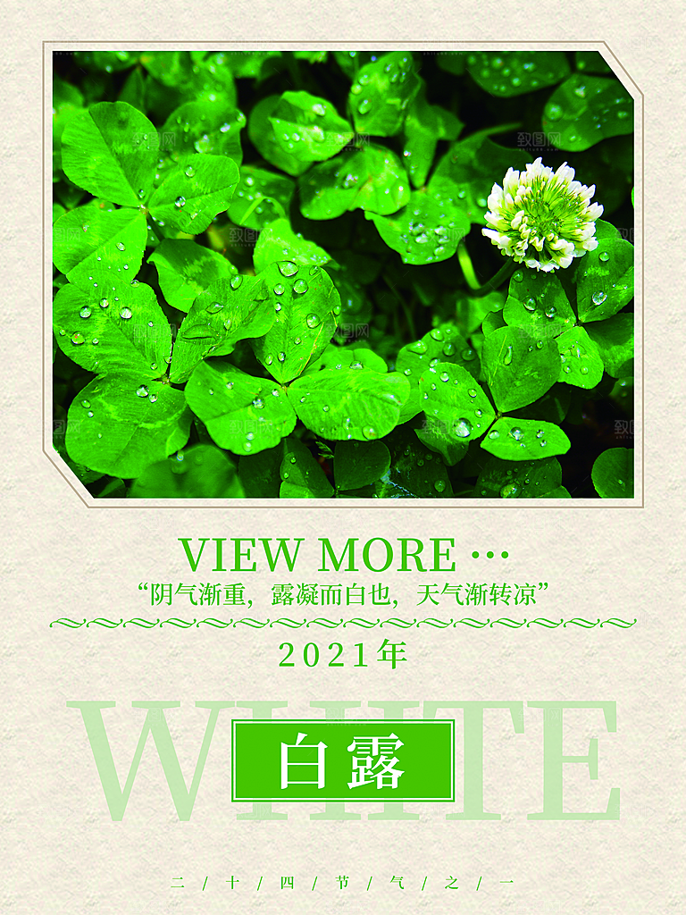 传统节气白露海报模版素材