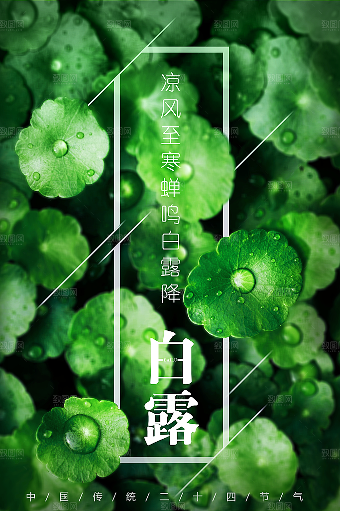 白露节气简约大气海报