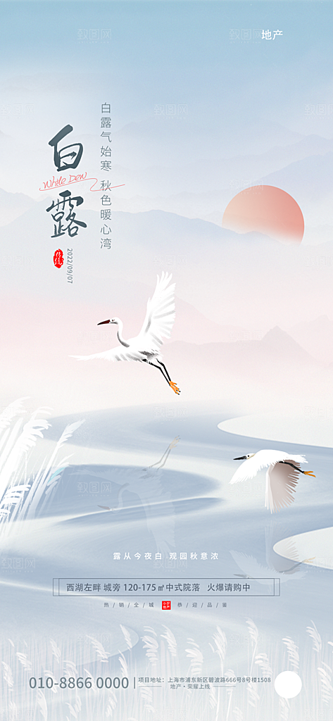 白露节气简约大气海报