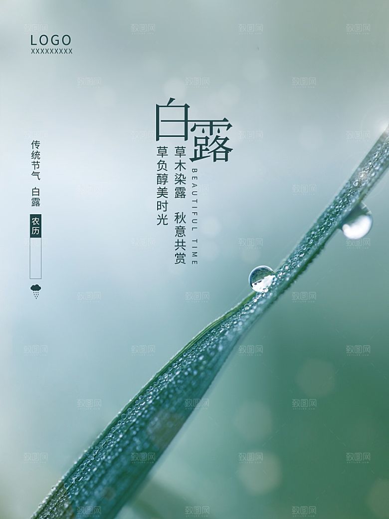 白露节气简约大气海报