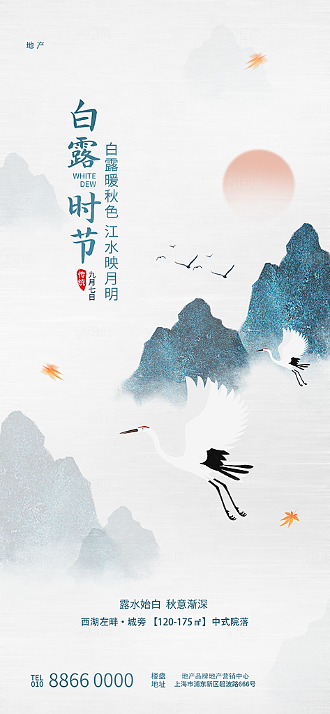 传统节气白露海报模版素材