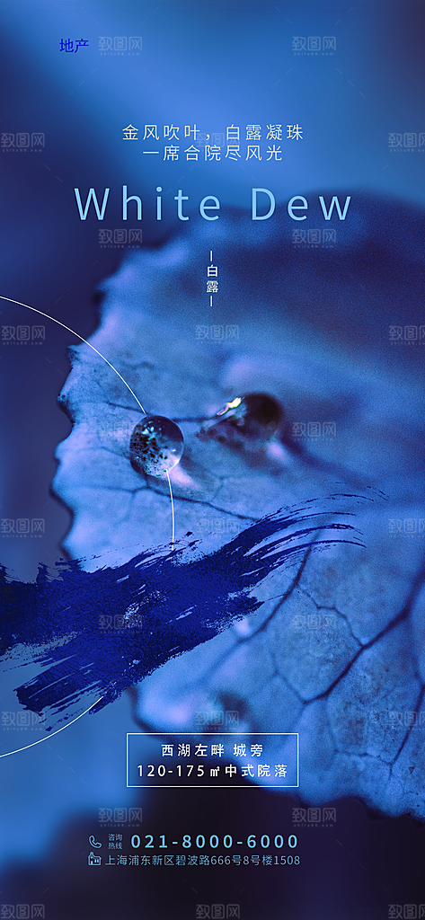 白露节气简约大气海报