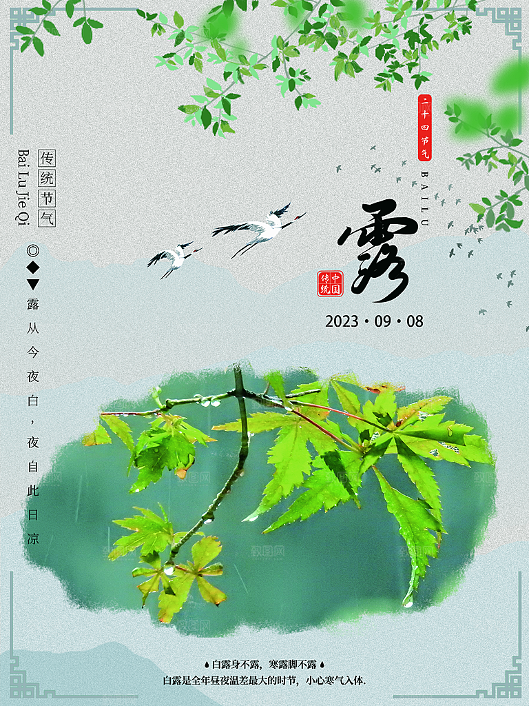 白露节气简约大气海报