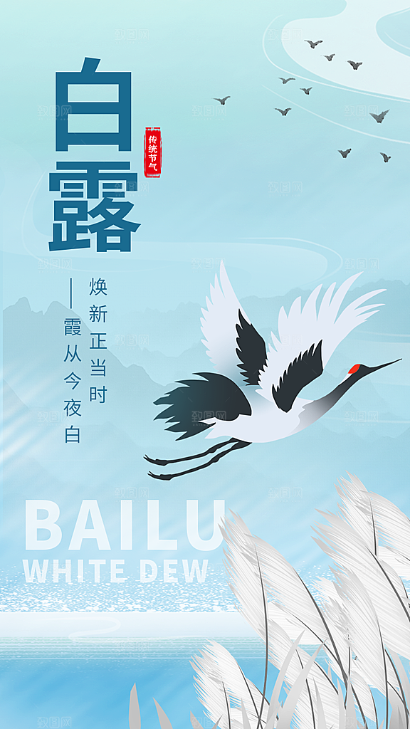 白露节气简约大气海报
