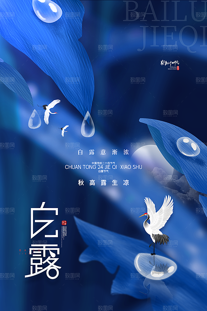 白露节气简约大气海报