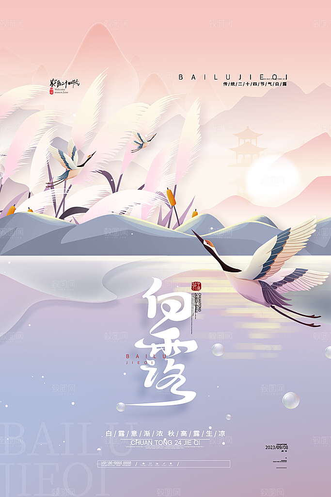 白露节气简约大气海报