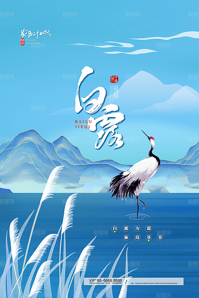 白露节气简约大气海报