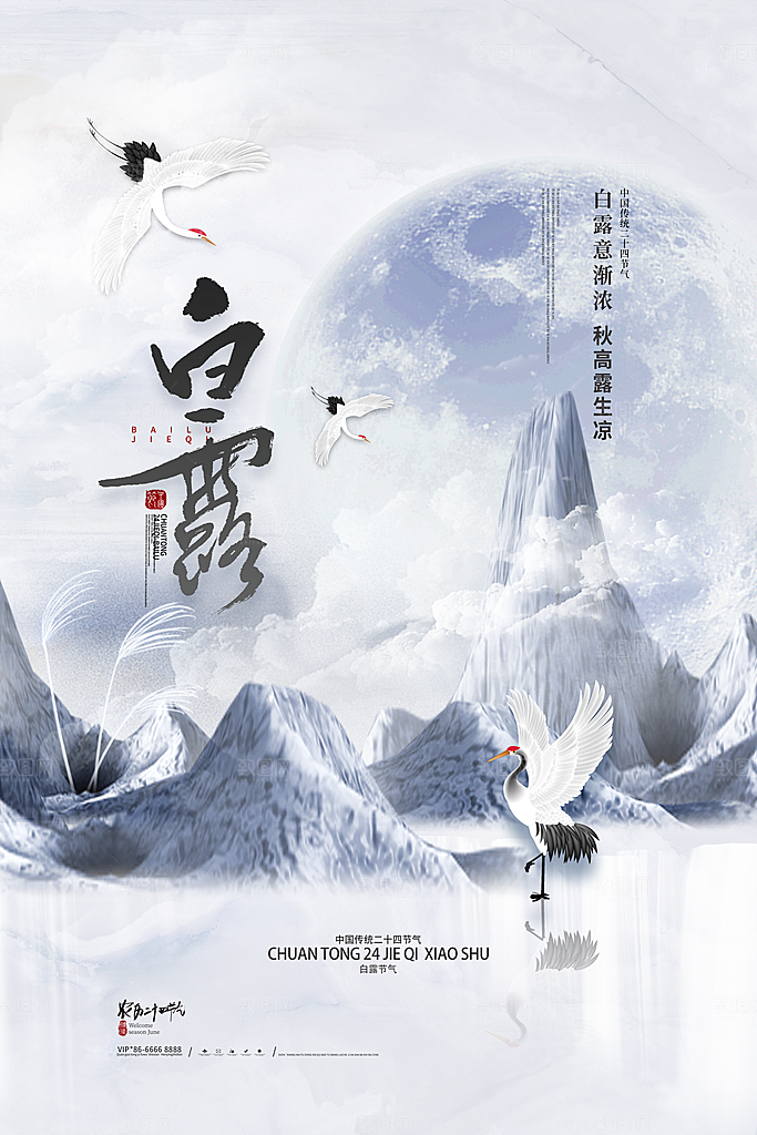 白露节气简约大气海报
