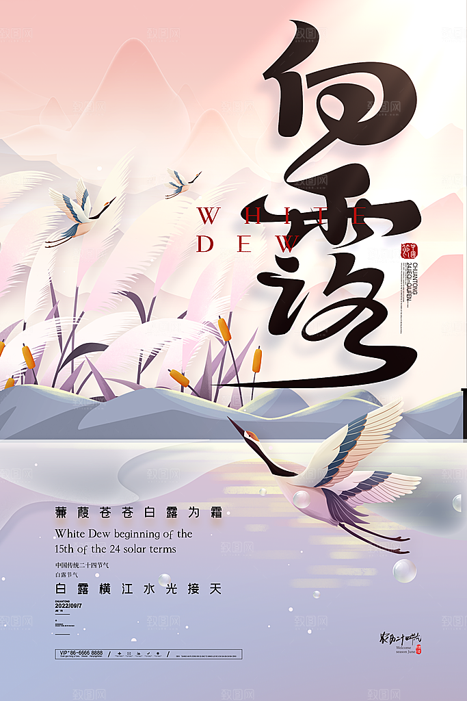 白露节气简约大气海报