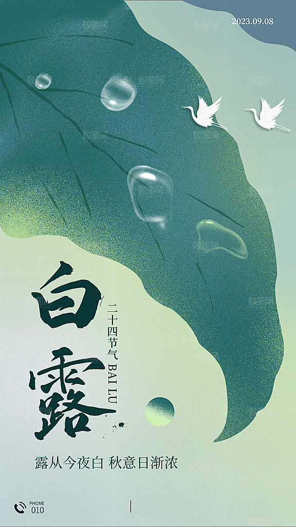 白露节气简约大气海报