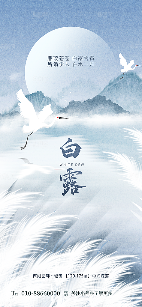 传统节气白露海报模版素材
